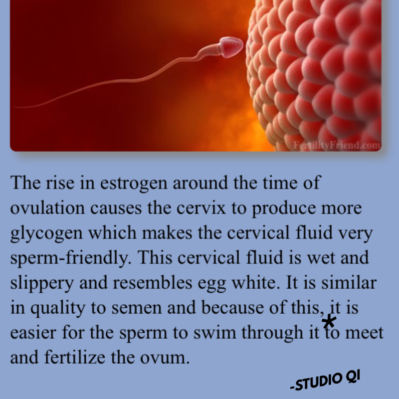 Are you Ovulating?